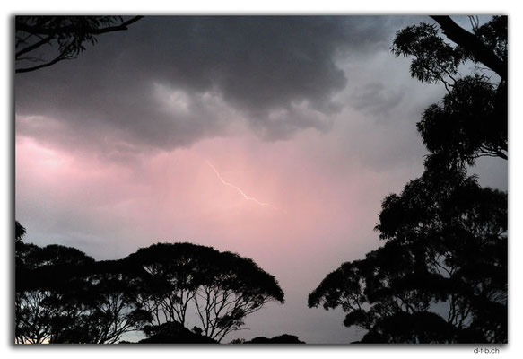 AU0959.222k.Gewitter mit Blitz