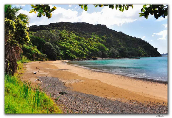 NZ0164.Russell.Waitata Beach