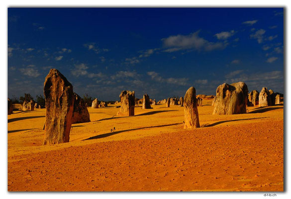 AU0599.Nambung N.P.Pinnacles