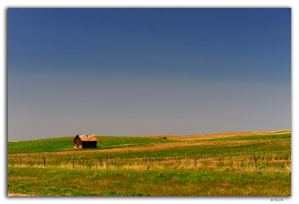 CA1055.Lonely hut