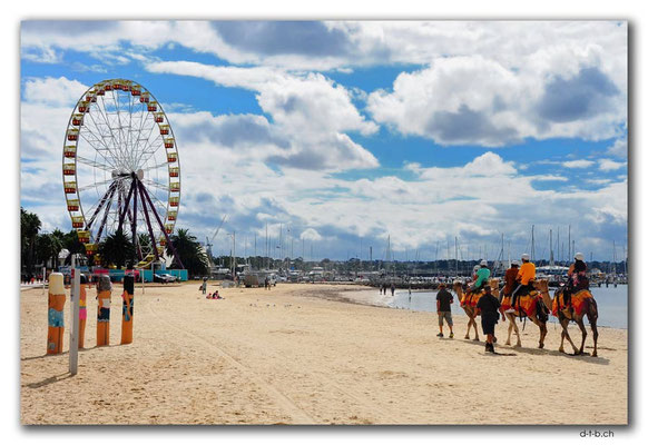 AU1215.Geelong.Riesenrad, Bollards und Kamele
