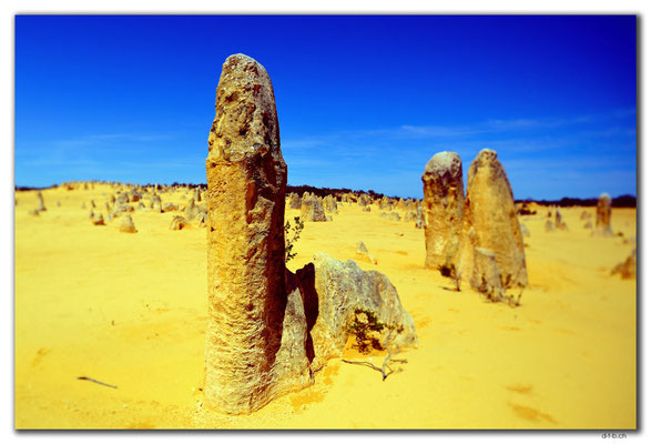 AU0585.Nambung N.P.Pinnacles