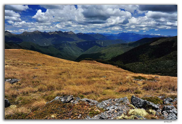 NZ0518.Kahurangi N.P.Wharepapa Arthur Range