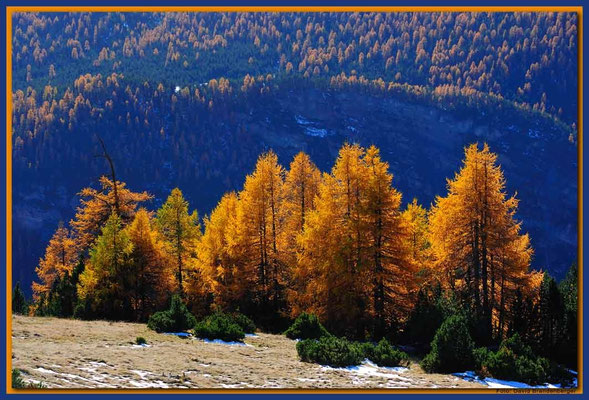A0706.Nationalpark.CH