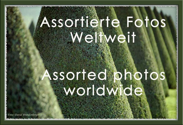 Fotogalerie Assortierte Weltweit / Photogallery assorted worldwide