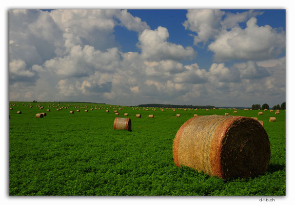 CA0582.Field