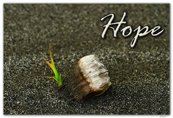 T060.Vanuatu.Tanna.Hope