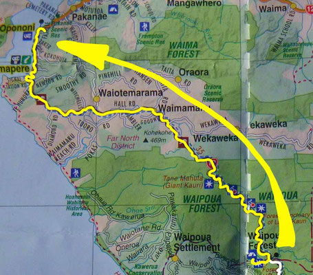 Tag 456: Waipoua Camp - Opononi
