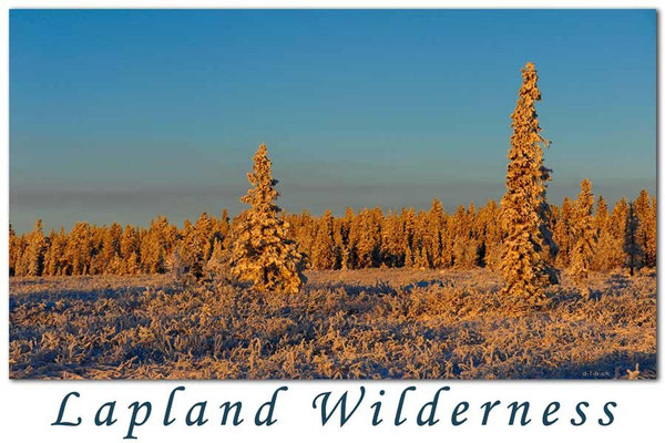 SE0073.Lapland Wilderness