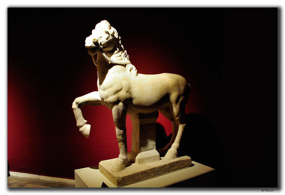 TR0343.Antalya.Museum.Perge.Pferd