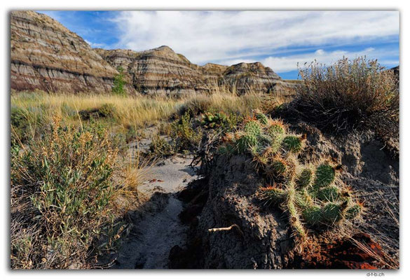 CA0732.Horsethief Canyon