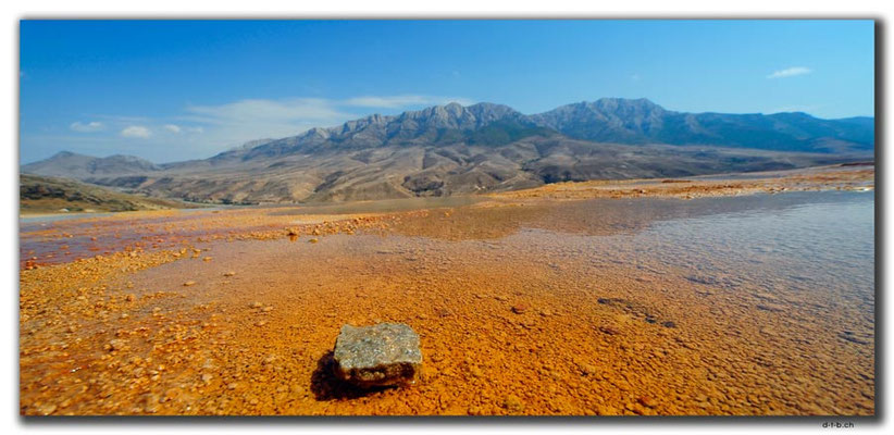 IR0287.Badab Soort