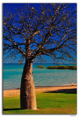AU0261.Broome.Mc Daniels Lookout