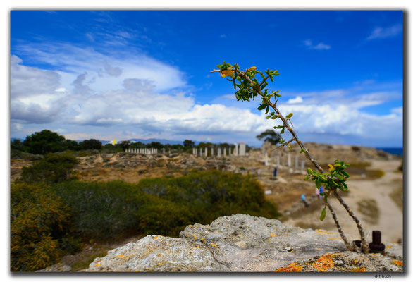 TR0573.Salamis.Gymnasium