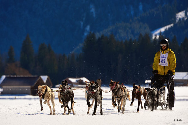 CH1368.SH-Rennen Lenk.Tanner Niklaus