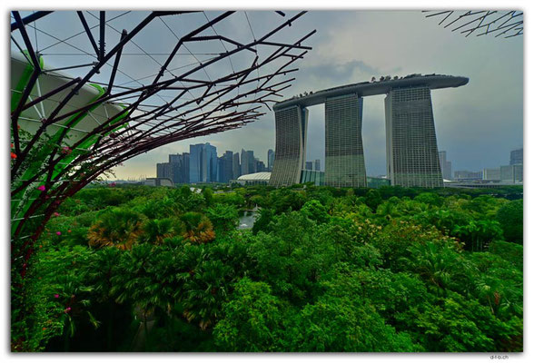 SIN0109.Gardens by the Bay.Supertrees