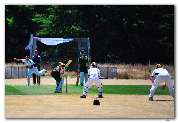 NZ0717.Scargil Domain.Cricket