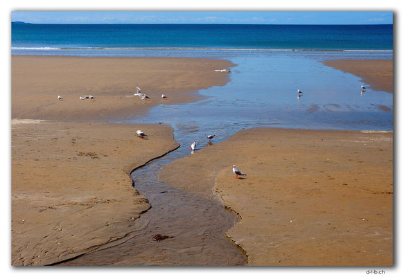 NZ0232.Orewa Beach