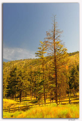 CA0536.Landscape