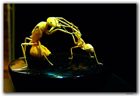 TW0047.Jinguashi.Gold Museum