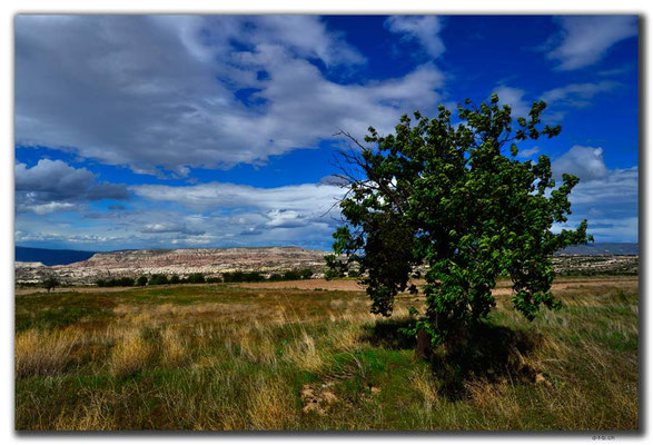 TR0817.Göreme