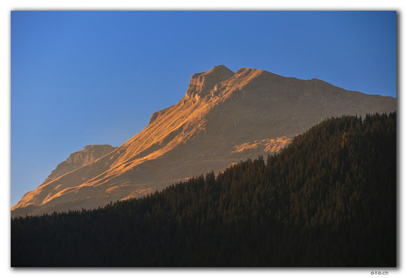 GW0462.Spitzen im Abendlicht