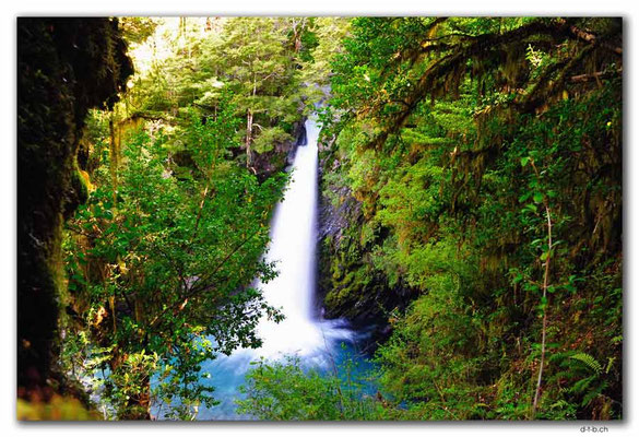 NZ0649.Nelson Lakes N.P.Travers Falls
