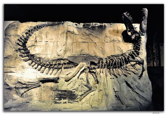 CA0773.Drumheller.RTM.Black Beauty Tyrannosaurus rex orig