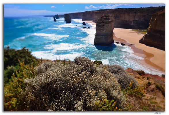 AU1186.Twelve Apostles