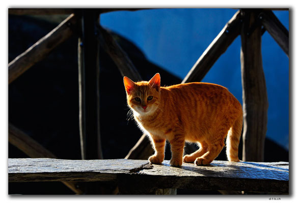 GR0223.Megalo Meteora.Katze