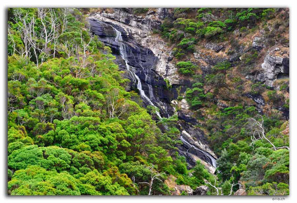AU1198.Carisbrook Fall