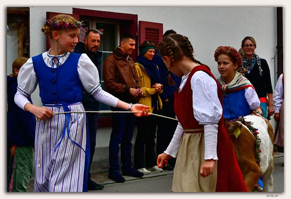 CH1156.Alpspektakel Seewis. Kinderalpabzug