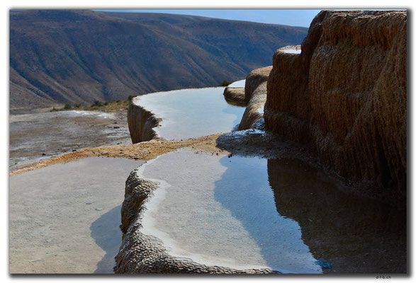 IR0314.Badab Soort
