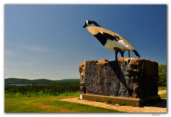 CA1122.Giant Goose.Wawa