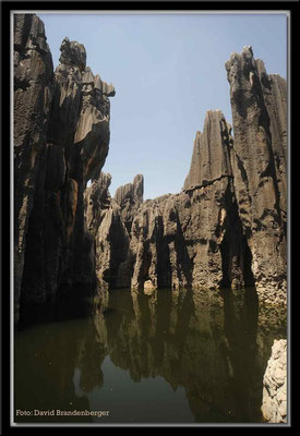 C0857Stone Forest
