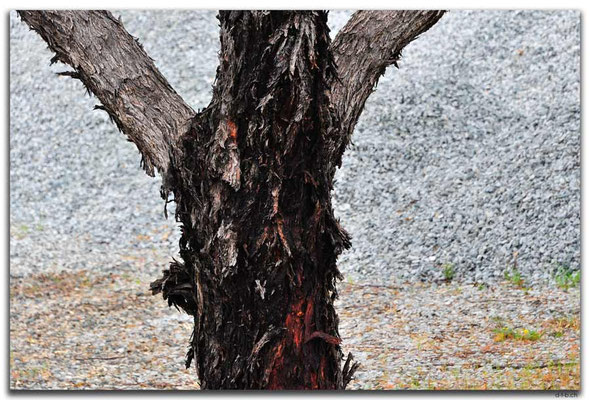 AU0668.York.Baum