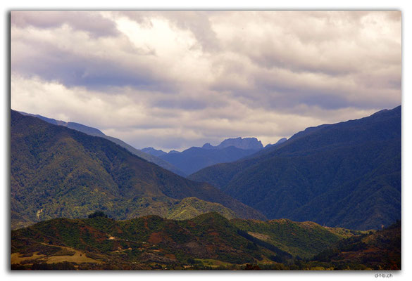 NZ0562.View from the Grove