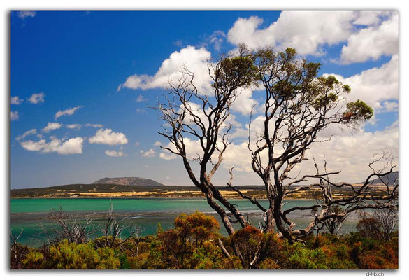 AU1028.Coffin Bay.Kellidie C.P.Austernzucht und Mt.Drummond