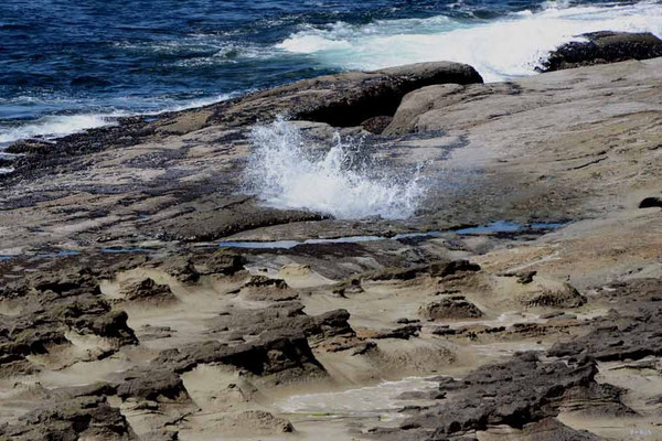 CA0095 WCT Blowhole
