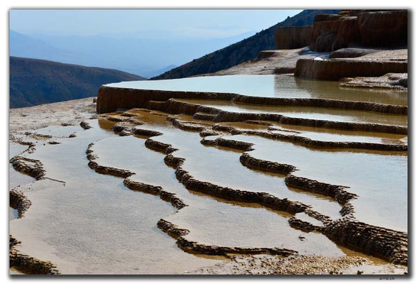 IR0316.Badab Soort