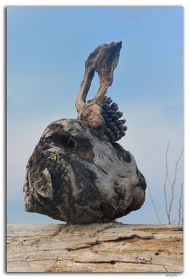 NZ0484.Motueka Sandspit.Driftwood Sculpture