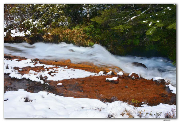 NZ0306.Tongariro N.P.Waikare Stream