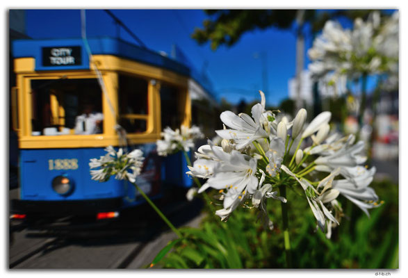 NZ0734.Christchurch.Tramway