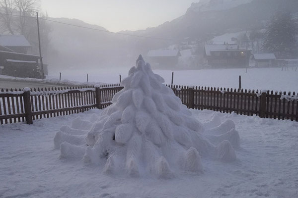 Schneetanne 2024