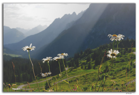 GW0130. Grosse Scheidegg