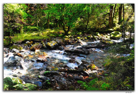 NZ0573.Anatoki Track.Stream