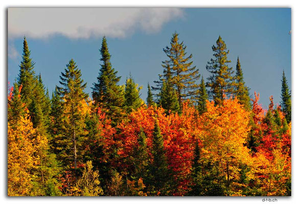 CA1002.Parc du Pouvoir