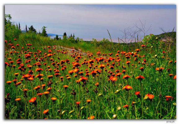 CA1117.Lake Superior