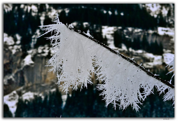 GW0659.Ice crystals