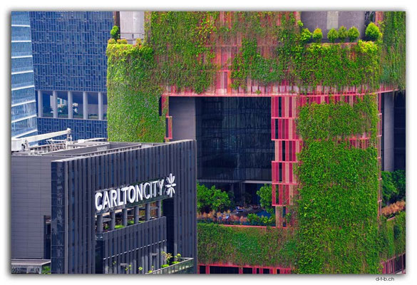 SIN0048.Carlton City from the Pinnacles @ Duxton